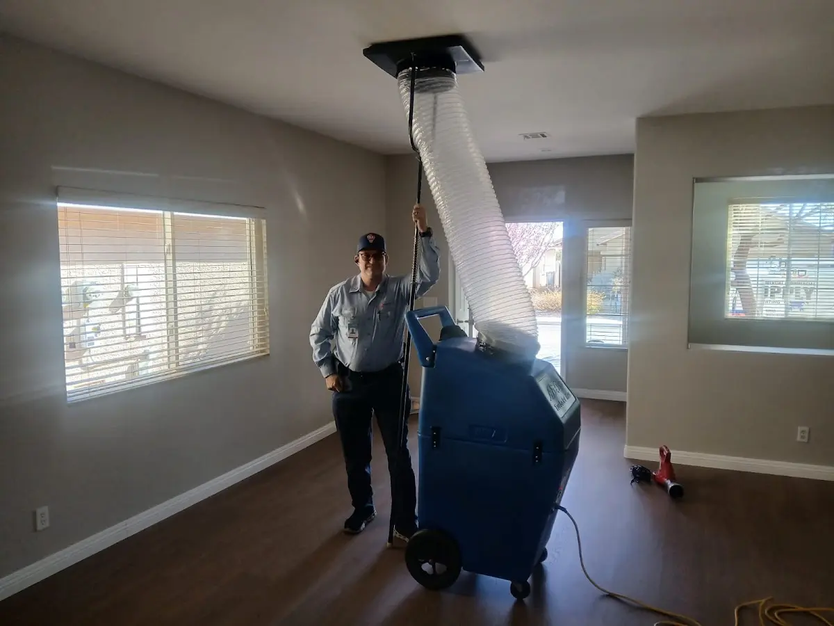 Professional Dryer Vent Cleaning work inside a Whitehouse home